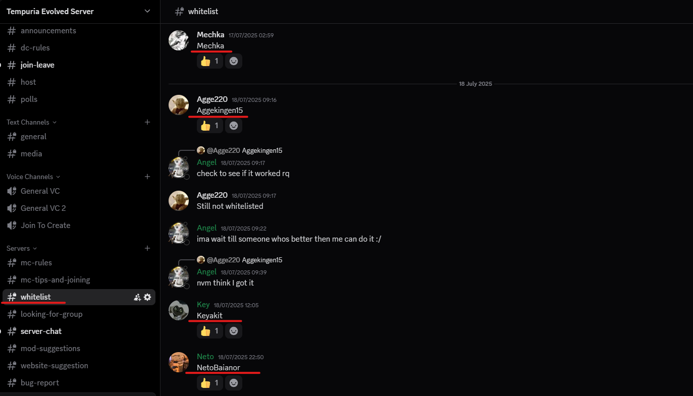 Discord Whitelist Chat